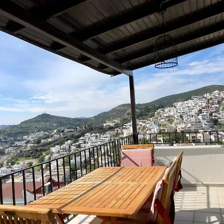 Triplex With A Unique Wide View Of Vila *